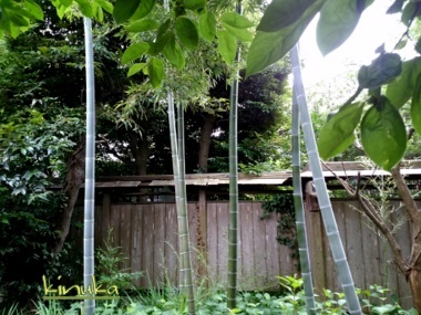 f0205317_03374875.jpg