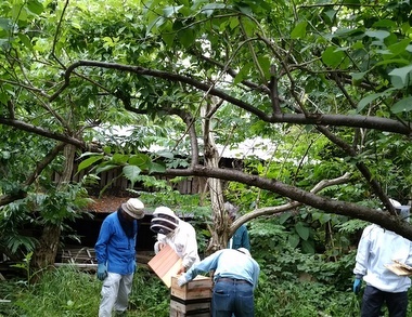 f0205317_03492448.jpg