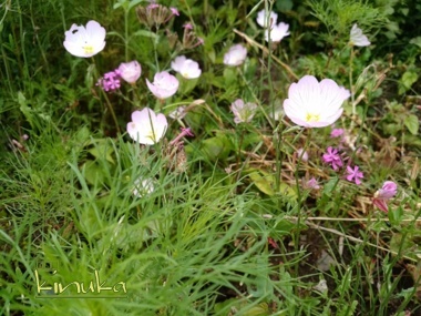 f0205317_03525078.jpg