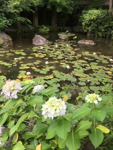 c0131818_17163254.jpeg