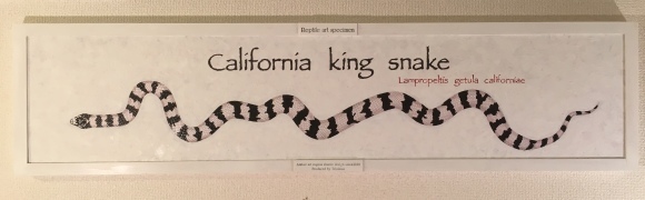 d0357222_08365232.jpeg