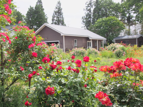 b0147224_23242157.jpg