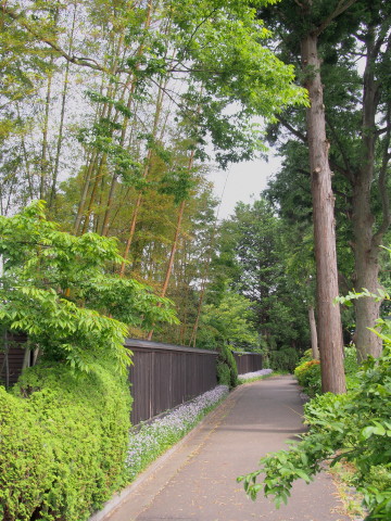 b0147224_23282199.jpg