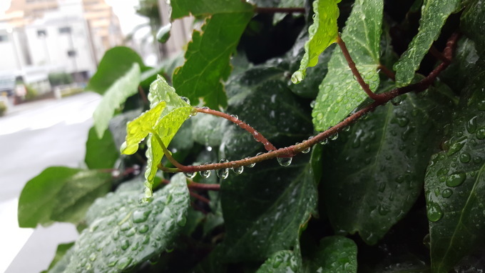 梅雨台風_d0008724_23442862.jpg