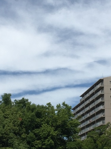 a0240026_20142876.jpeg
