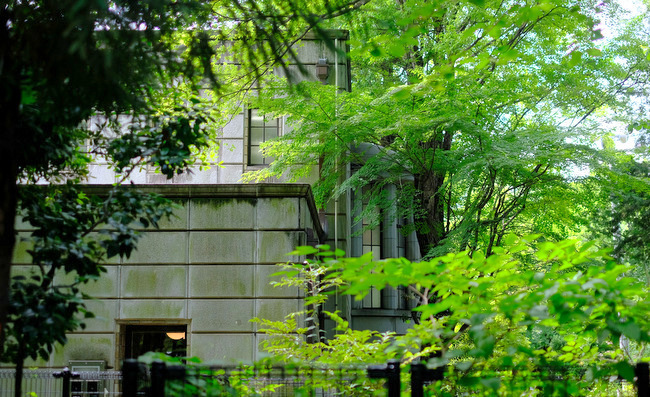 「東京・北区　 象の背中に乗れる公園 飛鳥山公園＆喜久家 かき揚げそばランチ」_a0000029_10275941.jpg