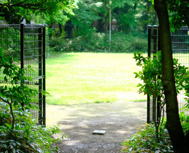 「東京・北区　 象の背中に乗れる公園 飛鳥山公園＆喜久家 かき揚げそばランチ」_a0000029_10313427.jpg