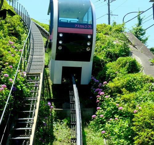 「東京・北区　 象の背中に乗れる公園 飛鳥山公園＆喜久家 かき揚げそばランチ」_a0000029_11093169.jpg