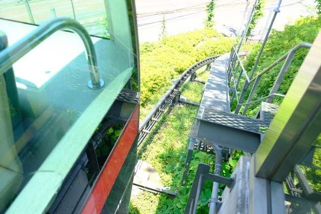 「東京・北区　 象の背中に乗れる公園 飛鳥山公園＆喜久家 かき揚げそばランチ」_a0000029_11094165.jpg