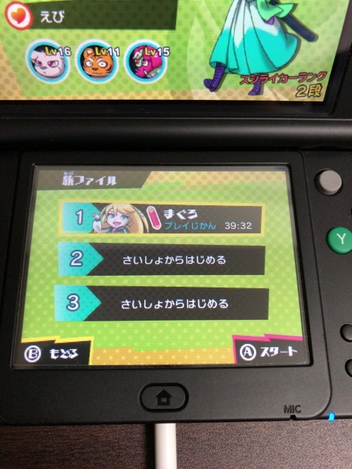 d0087129_12261681.jpeg