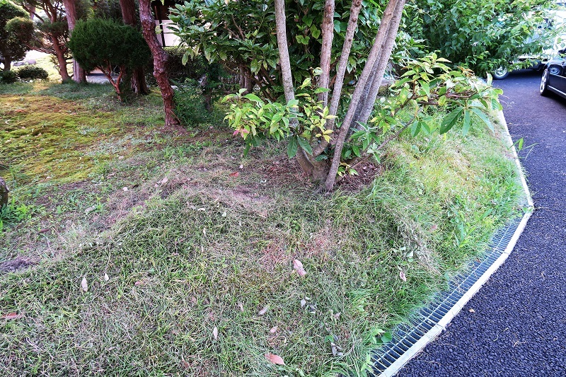 異変 更新版_f0076731_15311034.jpg