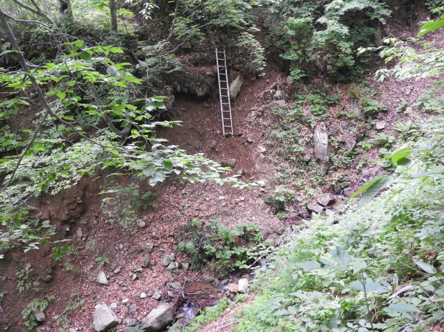 f0118332_14343669.jpg