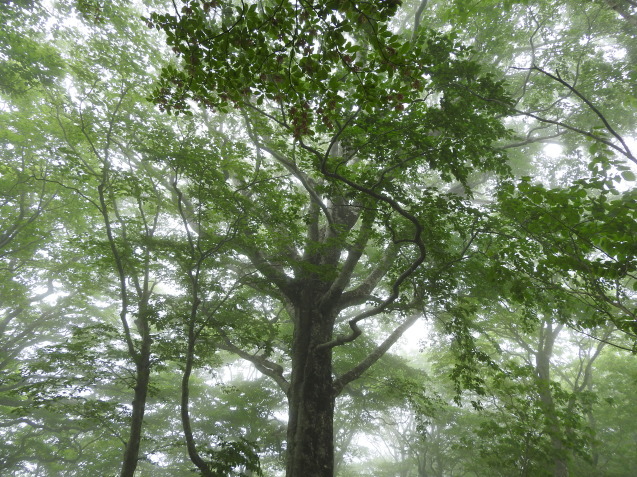 f0118332_14375358.jpg