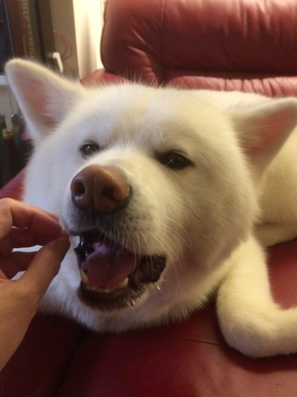 e0364035_19301051.jpeg