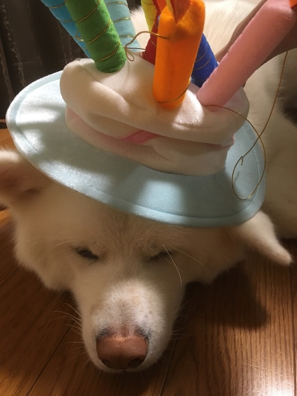 e0364035_19420414.jpeg