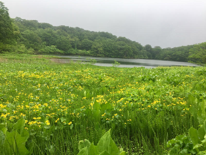 雨の日の山遊び_c0225536_05373396.jpg