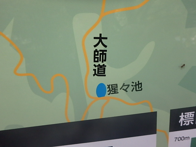 f0334143_8172560.jpg