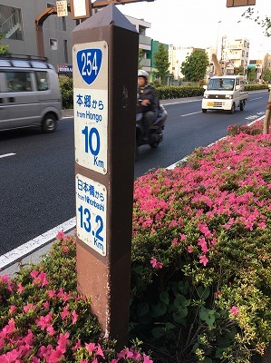 b0145863_15265119.jpg