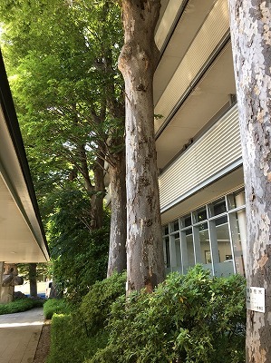 b0145863_22061840.jpg