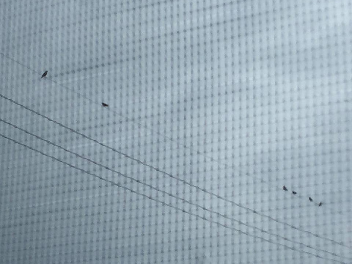 c0123363_9414116.jpg