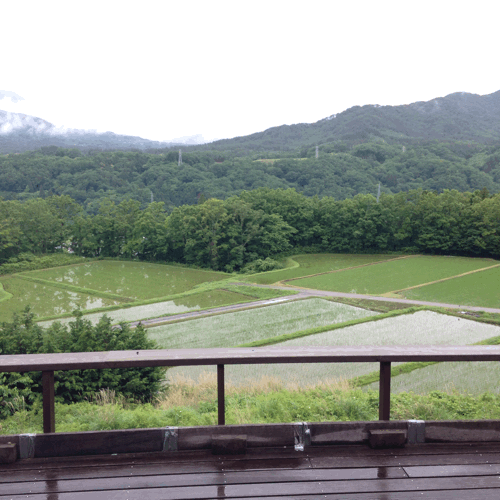 d0152765_20414385.gif