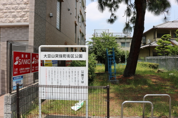 (番外編)大豆山紀行_c0001670_19082727.jpg