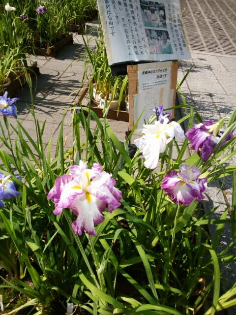 f0200871_10414143.jpg