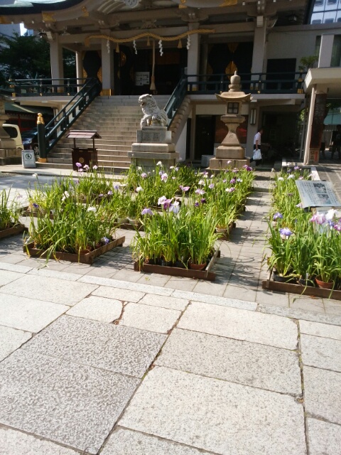 f0200871_10414174.jpg