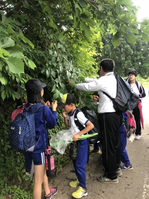 d0182179_21321067.jpeg