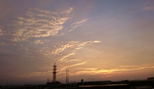 梅雨入り_d0355179_17162963.jpg