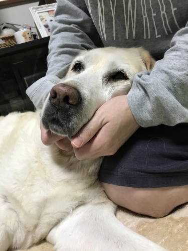 f0315081_18453376.jpeg