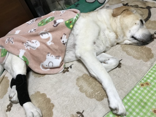 f0315081_18475109.jpeg