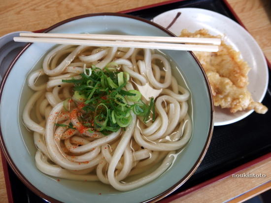 讃岐のこだわり うどん村_a0019082_2138068.jpg