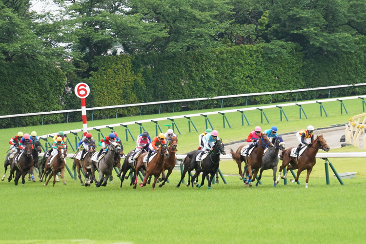 東京競馬場_e0156083_06533507.jpg