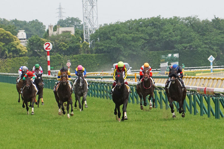 東京競馬場_e0156083_06533589.jpg