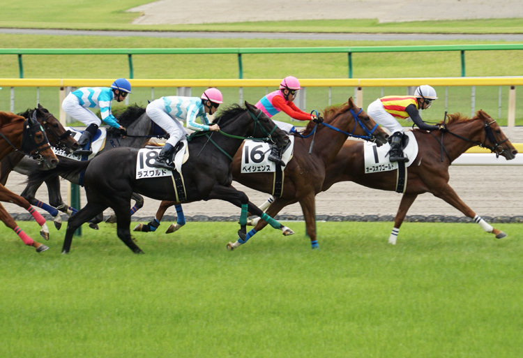 東京競馬場_e0156083_06533657.jpg