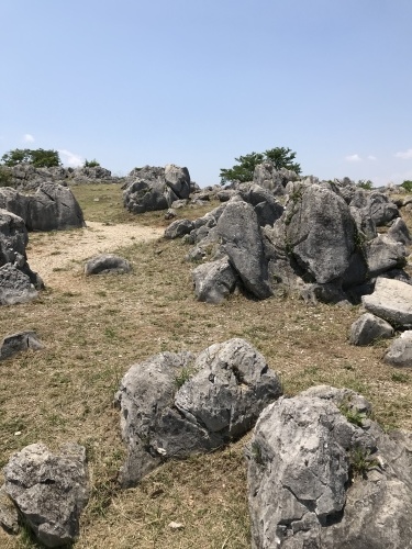 c0340786_12550586.jpeg