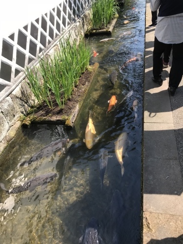 c0340786_12562044.jpeg