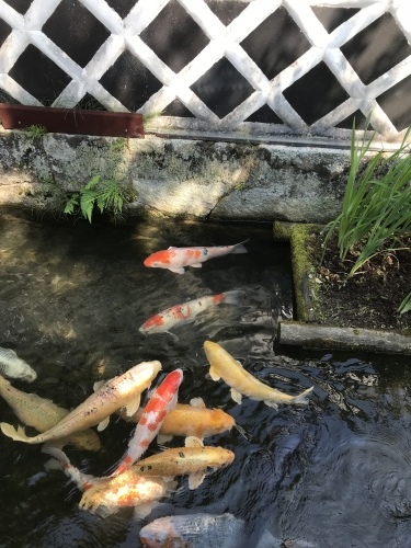 c0340786_12563595.jpeg