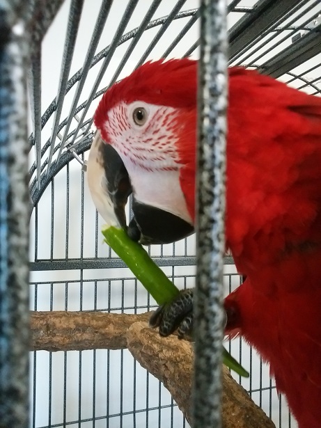f0234590_16554183.jpg