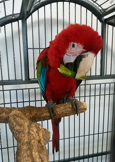 f0234590_16554790.png