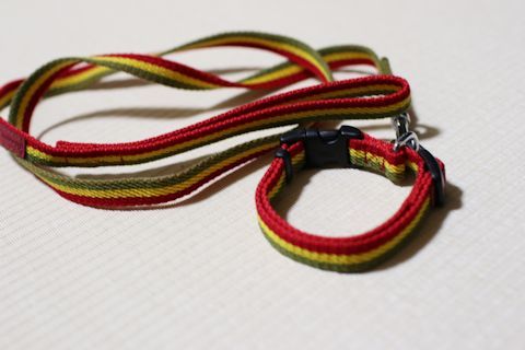 c0090198_17540471.jpg