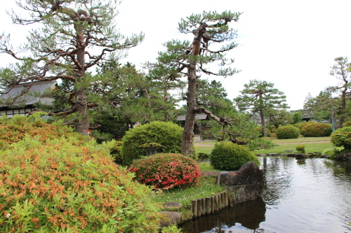 上杉記念館庭園の朝　２０１８．6．１２_c0075701_08514223.jpg