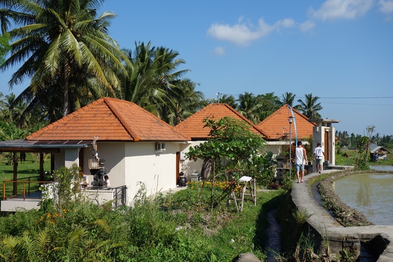 d0133704_14093677.jpg