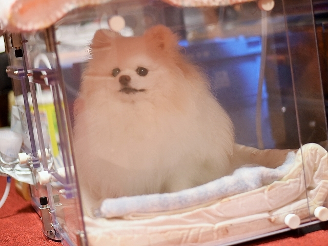 すべてが手探り_d0360206_00283564.jpg