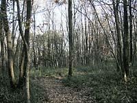 e0183106_14555194.jpg