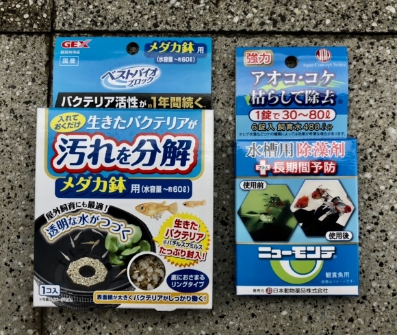 メダカのひょうたん池のビオトープ化 : 笑わせるなよ泣けるじゃ