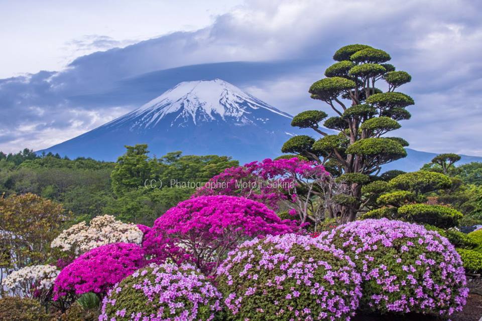 富士山見えたかなぁ～_d0160611_22514872.jpg