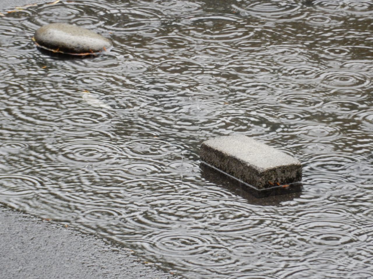 風から雨へ_c0025115_21305085.jpg