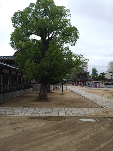 b0204719_19283375.jpg